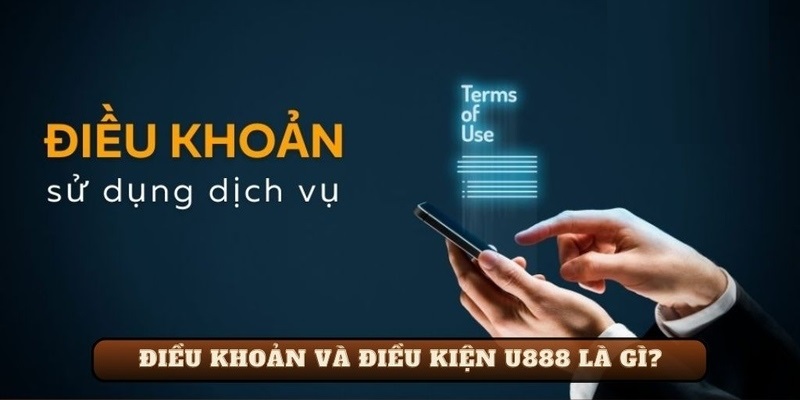 Giới thiệu về Điều khoản và điều kiện