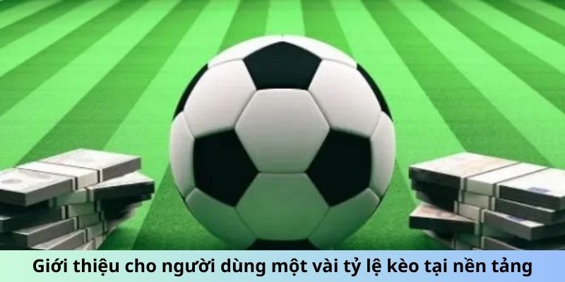 Giới thiệu cho người dùng một vài tỷ lệ kèo tại nền tảng