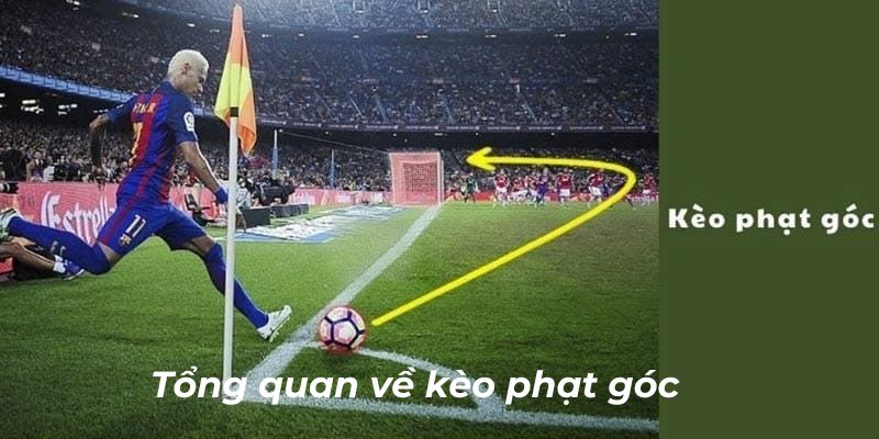 Giới thiệu thông tin tổng quan về kèo đá góc trong bóng đá U888